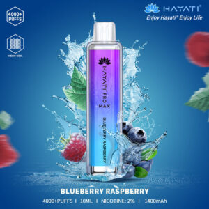 Hayati Pro Max 4000 Blueberry Raspberry